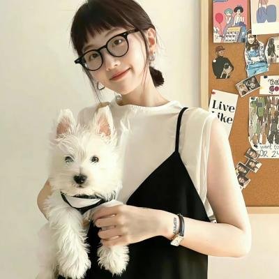 自杀突袭队封面